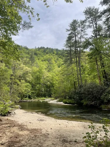 Ellicott rock trail hotsell