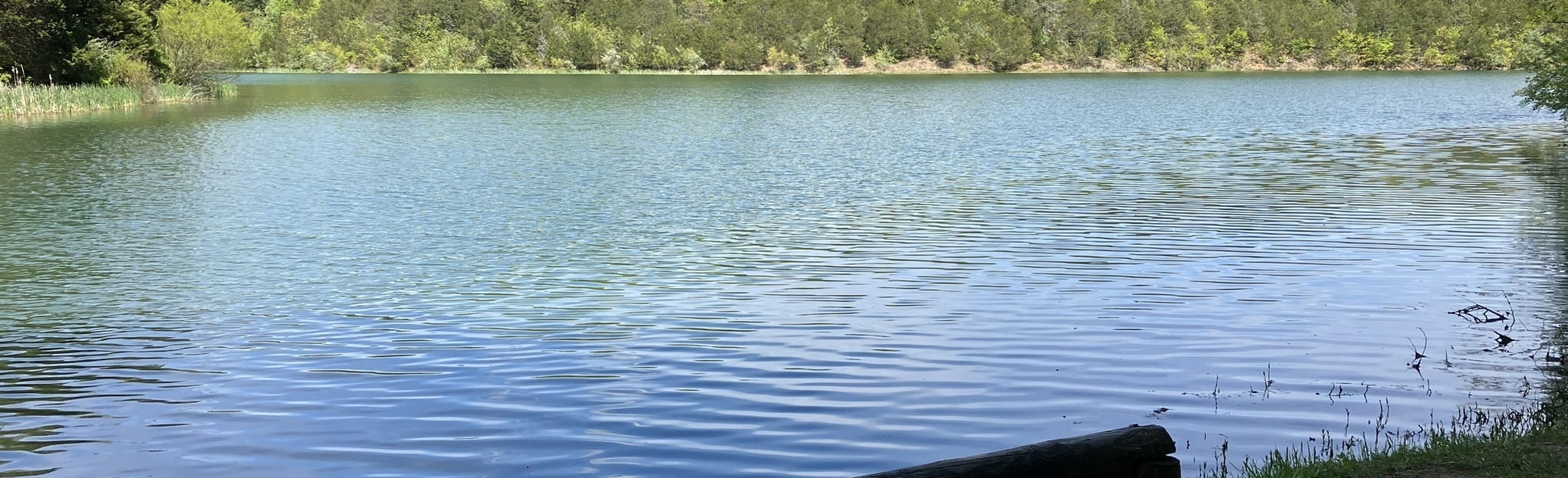 Lake Robertson Recreation Park, Virginia 21 Reviews, Map AllTrails