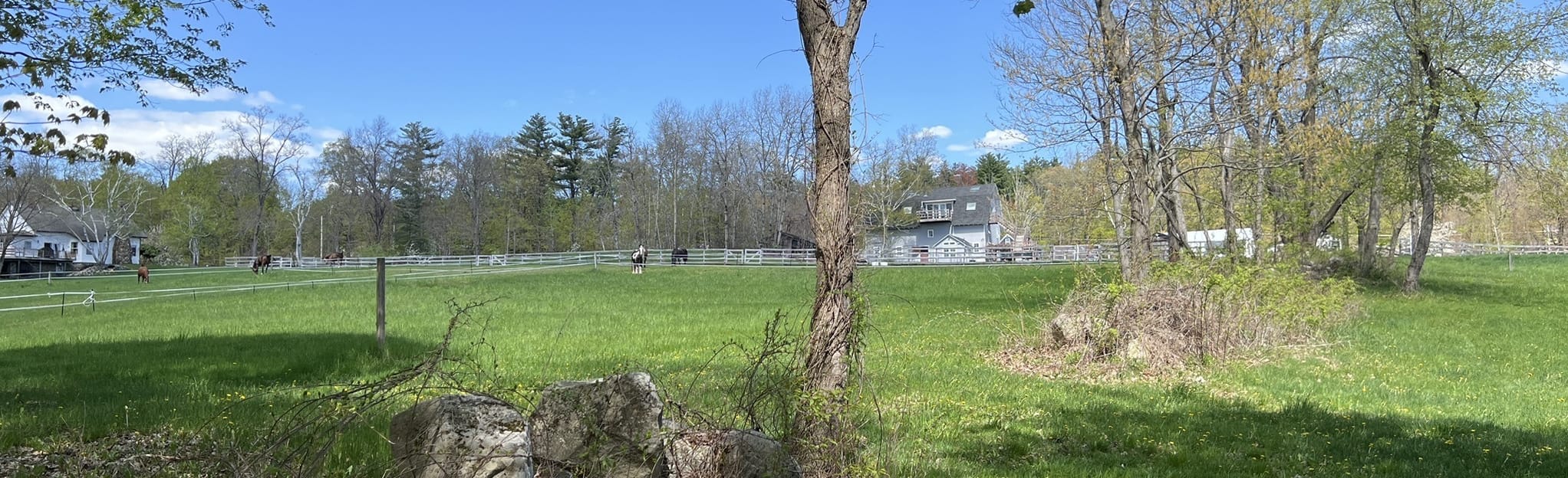 AllTrails Meetinghouse Hill Trail 21 Reviews, Map Massachusetts