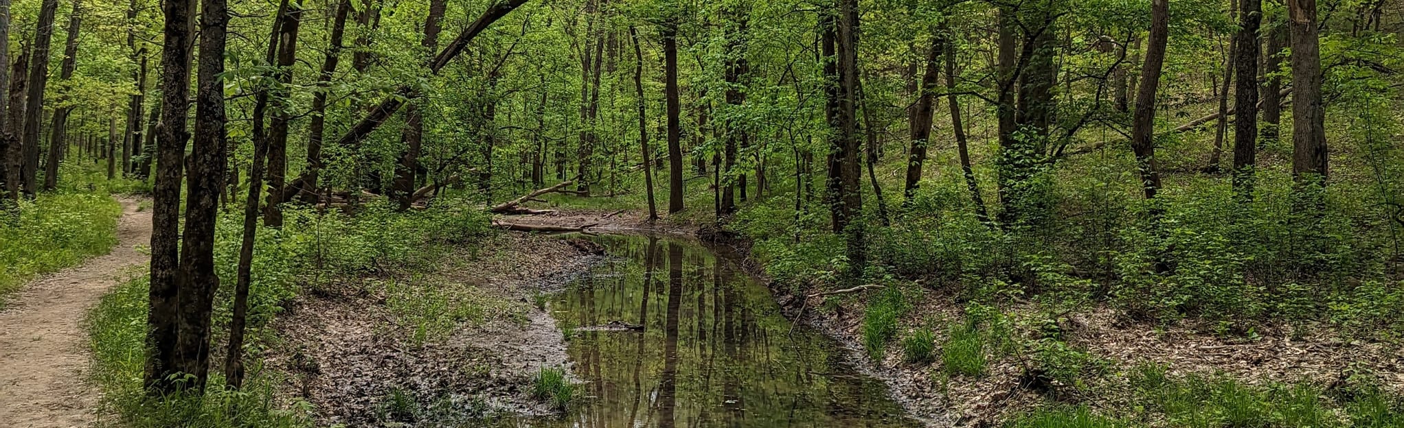 Kincaid Lake Spicebush Loop, Kentucky 19 Reviews, Map AllTrails