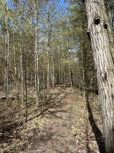 Best Hikes and Trails in Oak Ridges Corridor Conservation Reserve ...