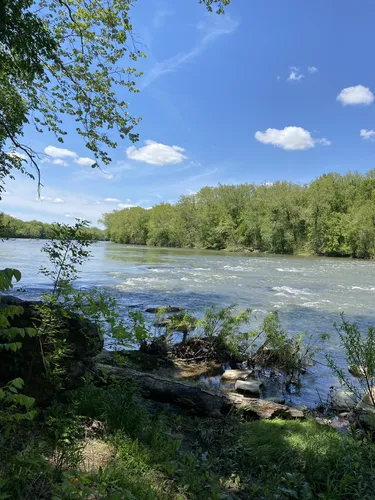 Best Hikes and Trails in Shannondale Springs Wildlife Management Area