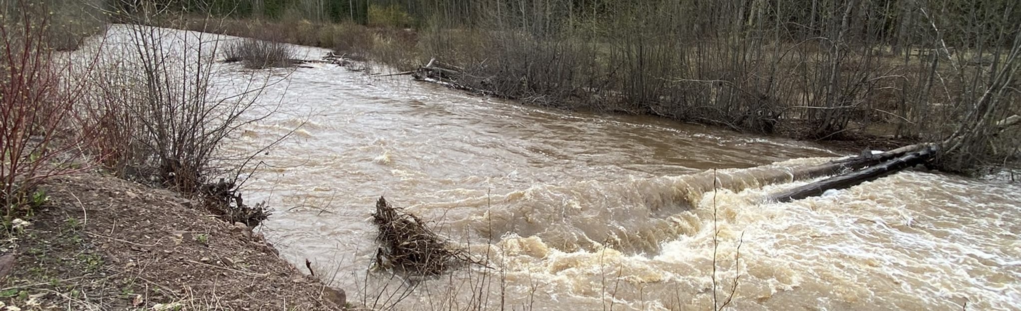 AllTrails Buck Creek Dike Pathway 3 Reviews, Map British Columbia