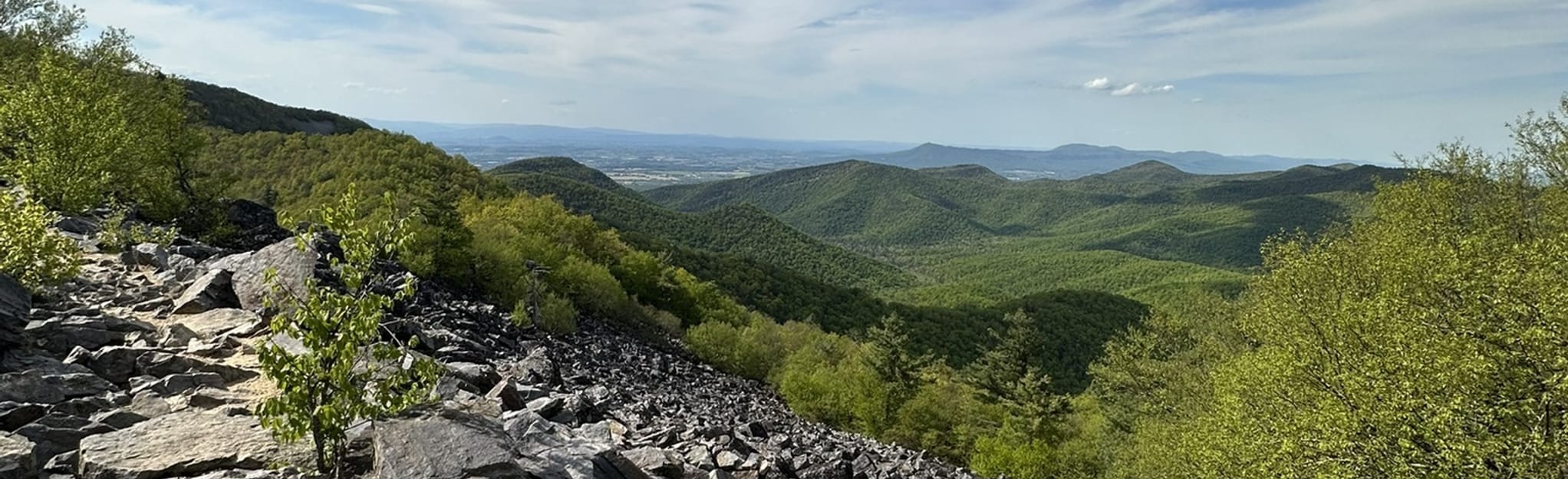 Browns Gap, Appalachian Trail and Furnace Mountain Loop 56 Reviews