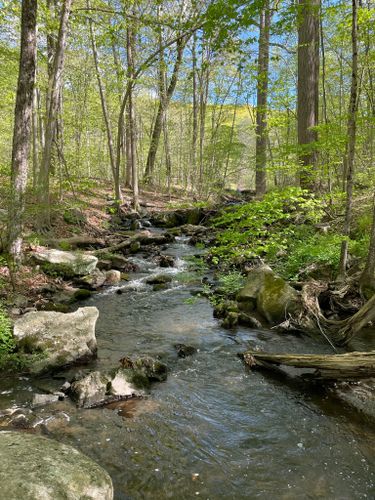 Best Hikes and Trails in Whippoorwill Park | AllTrails