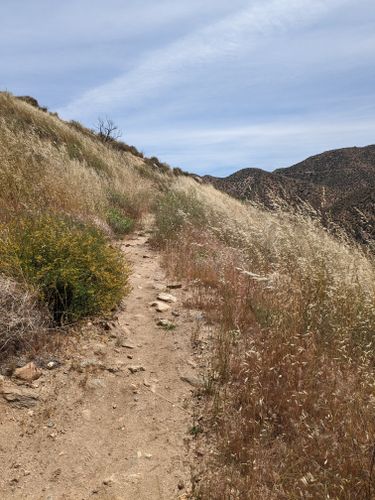 2023 Best Hot Springs Trails in Hesperia | AllTrails