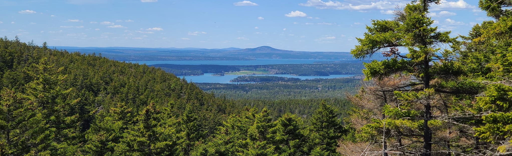 Great Notch Trail: 16 Reviews, Map - Maine | AllTrails