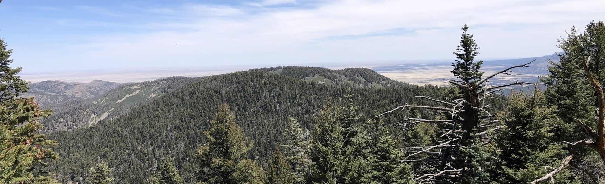 Carrizo Peak via Johnnie Canyon Trail 74, New Mexico 10 Reviews, Map