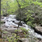 Hickey Gap Trail, Georgia - 113 Reviews, Map | AllTrails