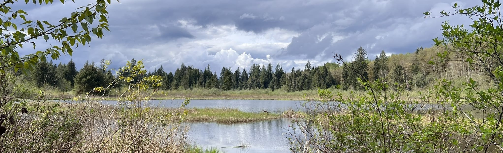 Moss Lake Trail, Washington 359 Reviews, Map AllTrails