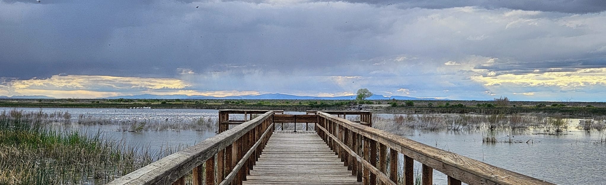 Duff's Pond Boardwalk, Nevada Map, Guide AllTrails