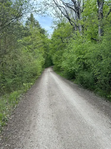 Best Hikes and Trails in Buckenhofer Forst AllTrails