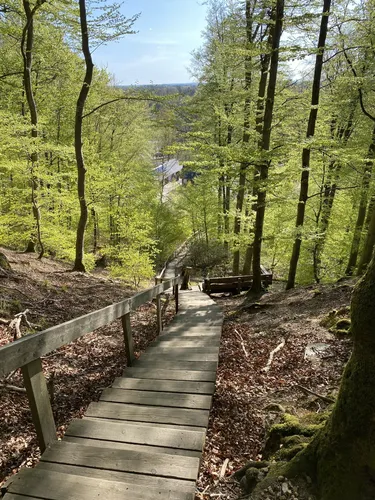 Best 10 Hikes and Trails in Söderåsen National Park | AllTrails