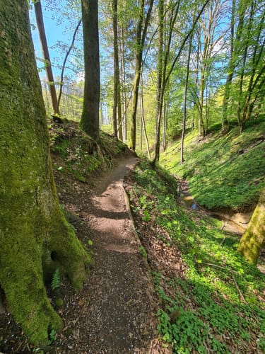 Durch die Hexenklamm und das Blümelsbachtal