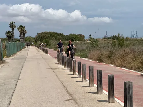 2023 Best Beach Trails in Sedaví AllTrails