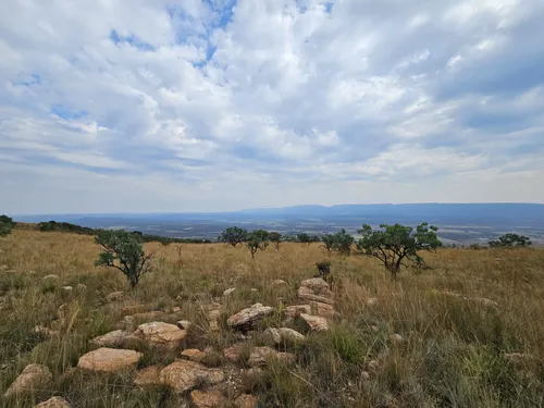 10 Best Trails and Hikes in Magaliesburg | AllTrails