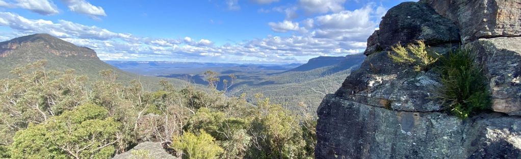 Easier than Giant Steps, but there are still a few steep steps to climb  coming up the Furber Steps – Katoomba, Blue Mountains