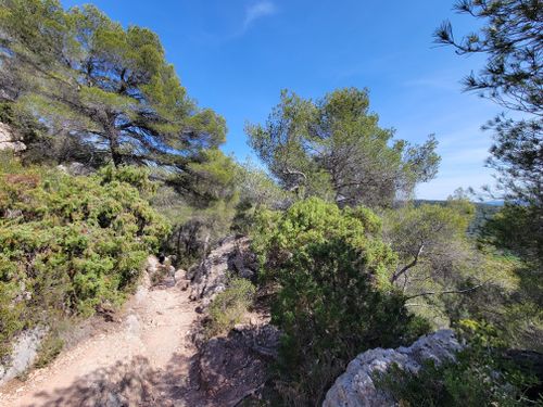 2023 Best Historic Site Trails in Gardanne | AllTrails