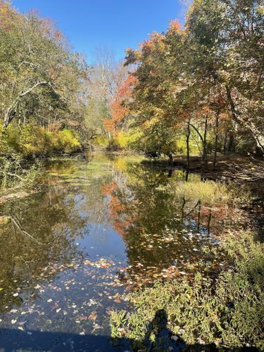 2023 Best Easy Trails In Caleb Smith State Park Preserve | AllTrails