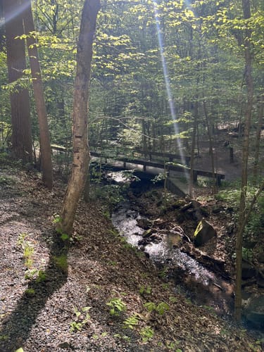 2023 Best Kid Friendly Trails in - EyJidWNrZXQiOiJhc3NldHMuYWxsdHJhaWxzLmNvbSIsImtleSI6InVwbG9hZHMvcGhvdG8vaW1hZ2UvNTkyMjI4ODkvZmMzNDE1ZjE4ZjYyYWM1NDI0NTZlNjllMDZjZTI0MDAuanBnIiwiZWRpdHMiOnsidG9Gb3JtYXQiOiJqcGVnIiwicmVzaXplIjp7IndpZHRoIjo1MDAsImhlaWdodCI6NTAwLCJmaXQiOiJpbnNpZGUifSwicm90YXRlIjpudWxsLCJqcGVnIjp7InRyZWxsaXNRdWFudGlzYXRpb24iOnRydWUsIm92ZXJzaG9vdERlcmluZ2luZyI6dHJ1ZSwib3B0aW1pc2VTY2FucyI6dHJ1ZSwicXVhbnRpc2F0aW9uVGFibGUiOjN9fX0=