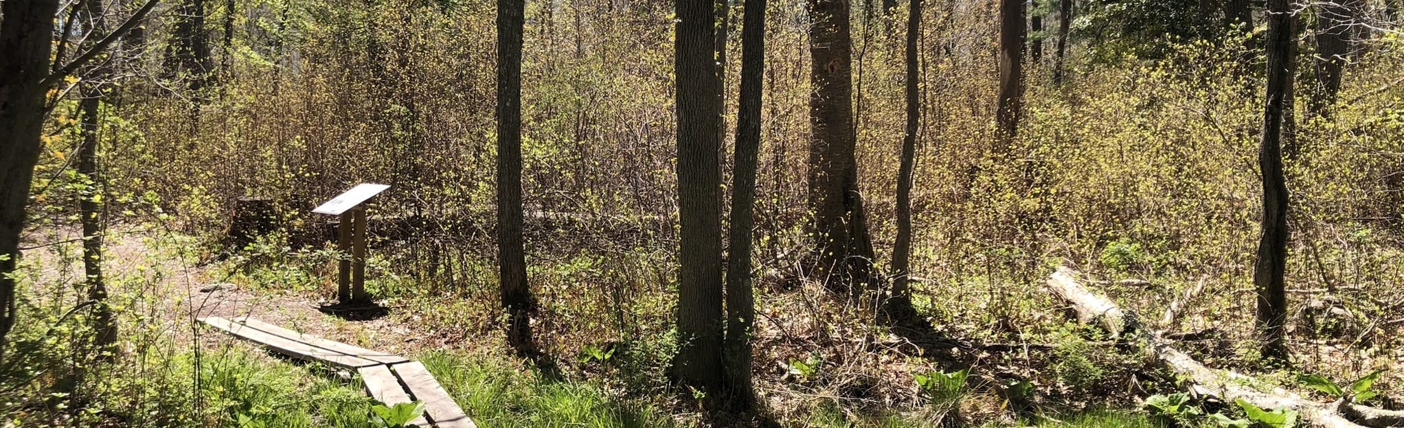 Handy House Heritage Trail, Massachusetts 53 Reviews, Map AllTrails