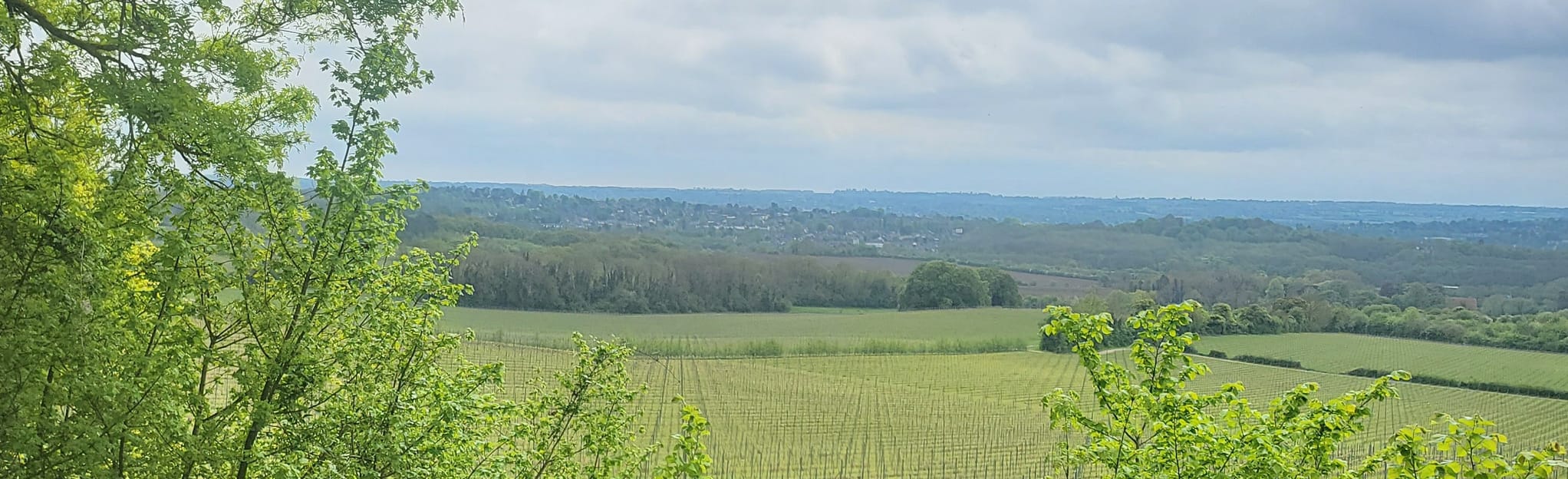 Boxley, Abbey Gate, Pollyfield and Boxley Grange Circular 28 Reviews