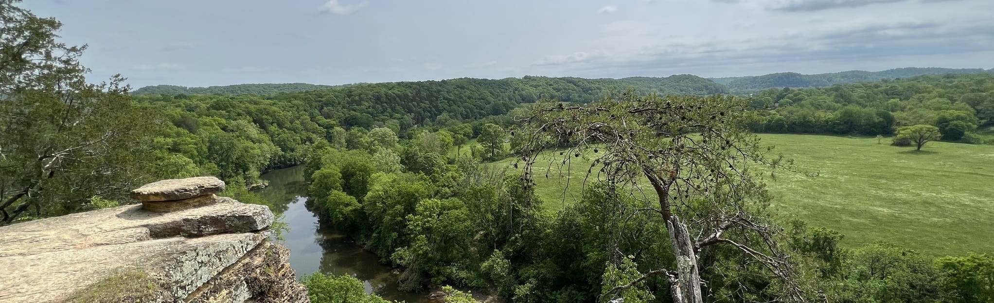 The Narrows Bluff Trail, Tennessee 314 Reviews, Map AllTrails