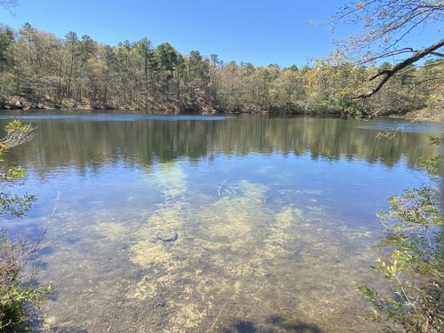 Best Hikes and Trails in Eagle Pond Sanctuary | AllTrails