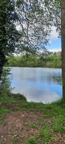 Um den Kleinen und Großen Tonteich bei Bestensee