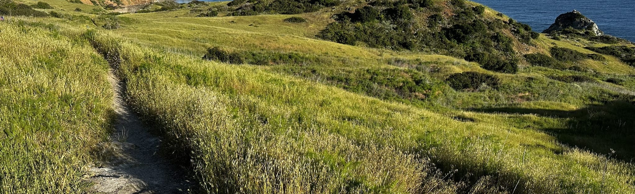 Two Harbors to Avalon, California 46 Reviews, Map AllTrails