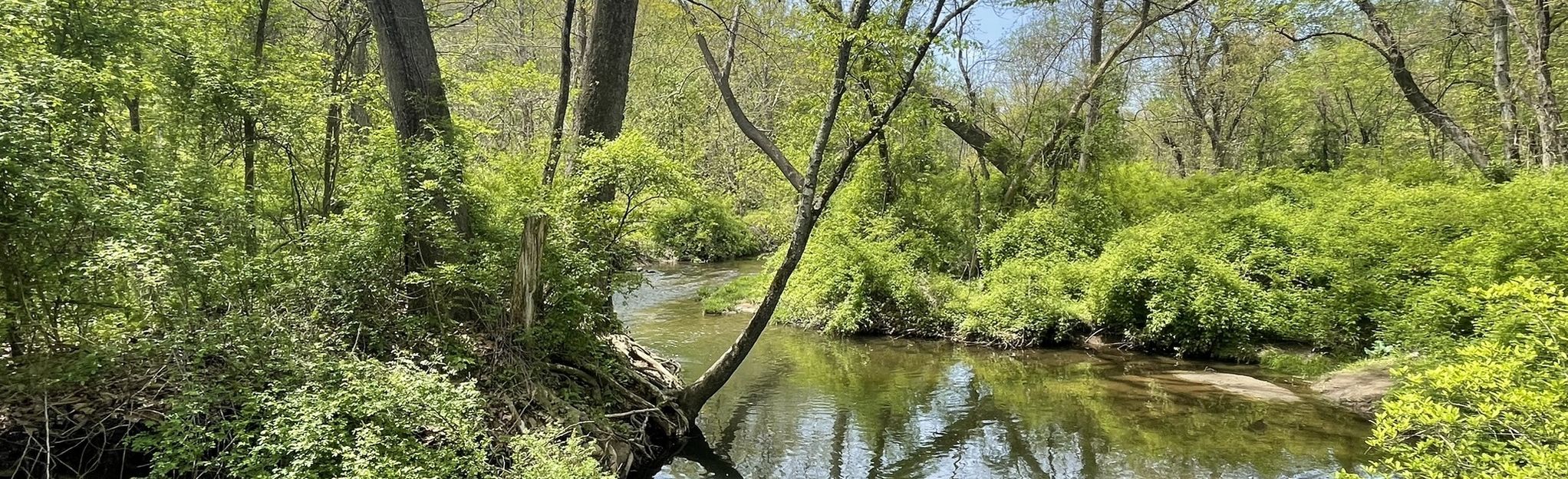 Patriots Path and Purple Trail Loop, New Jersey 78 Reviews, Map