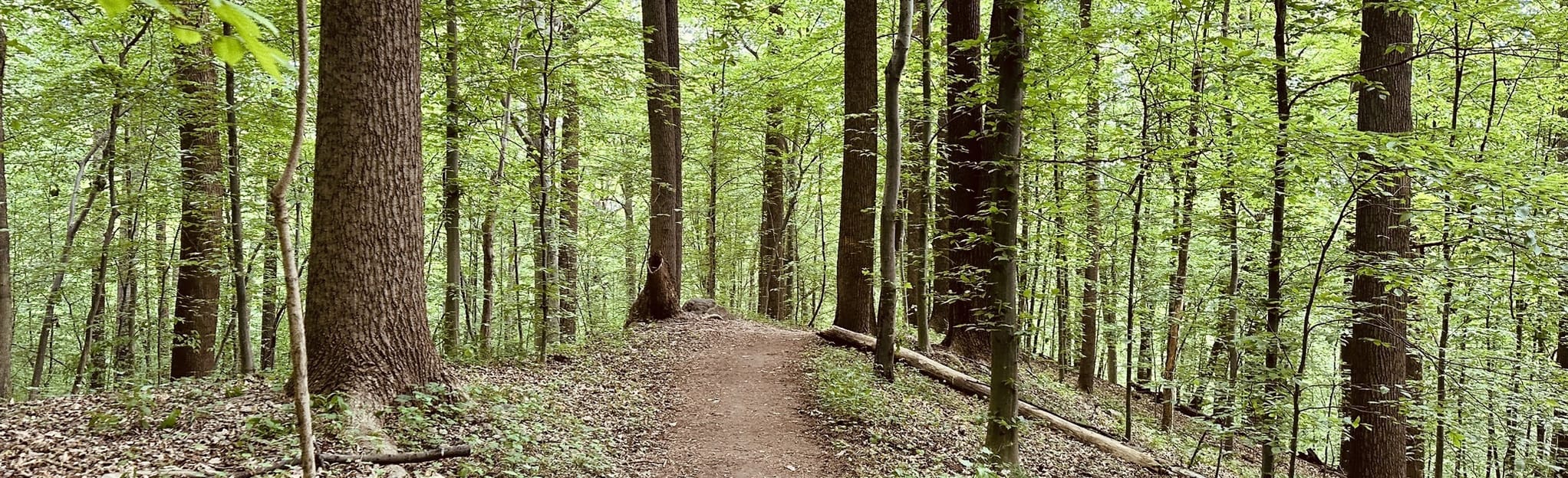 Garretts Pass, Cascade Falls, Ridge, Morning Choice, and Log Trail 278