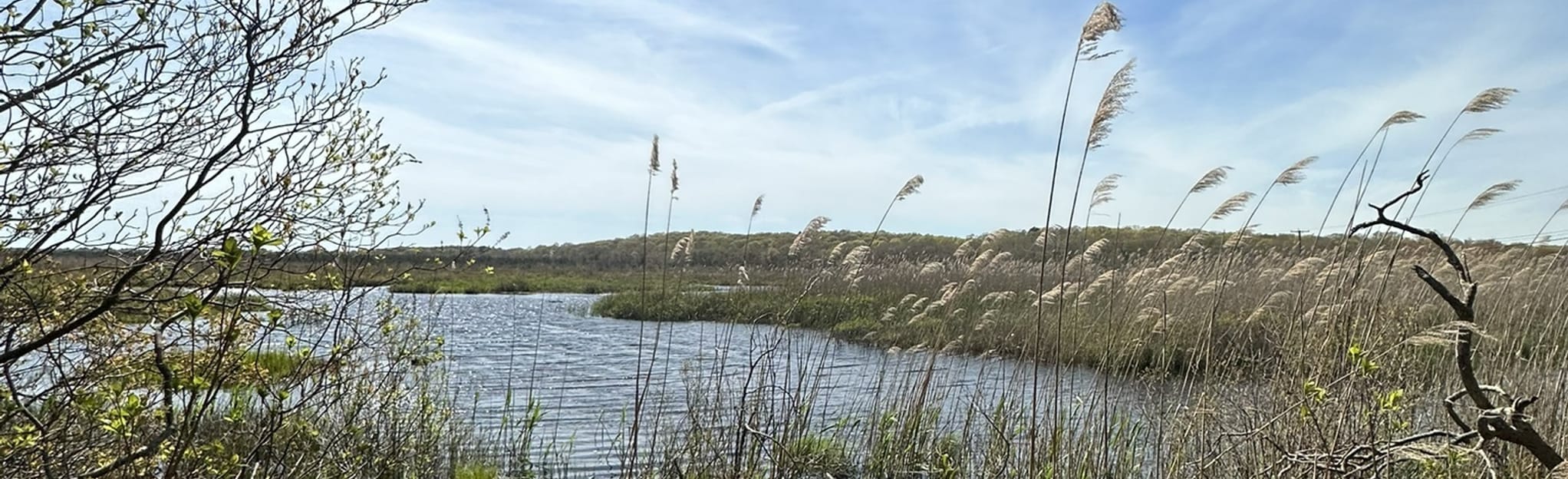 Barlow Preserve Yellow and Red Trail, Rhode Island 12 Reviews, Map