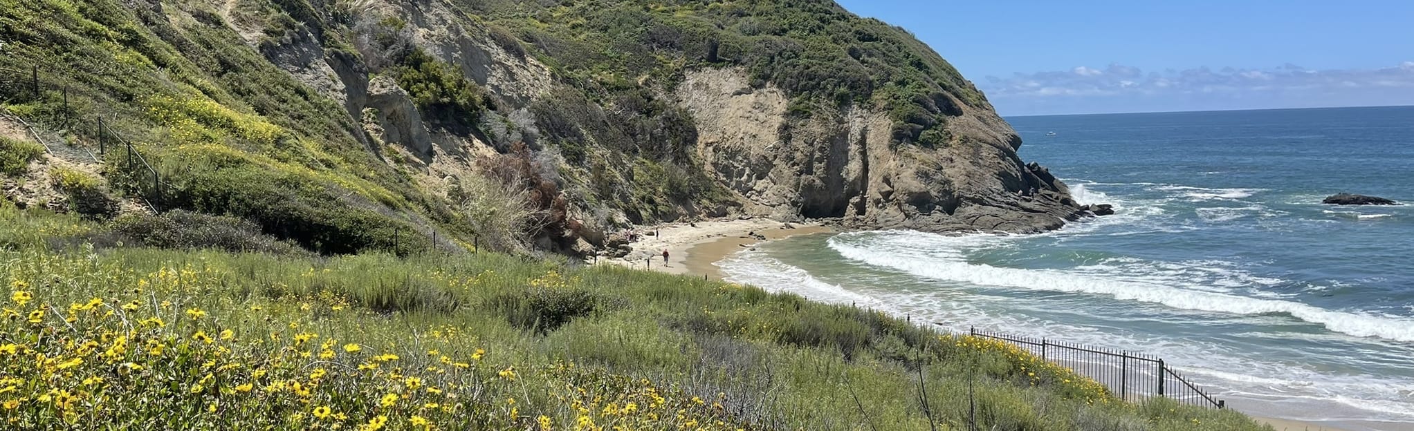 Strands Beach to Salt Creek Beach 233 Reviews, Map California