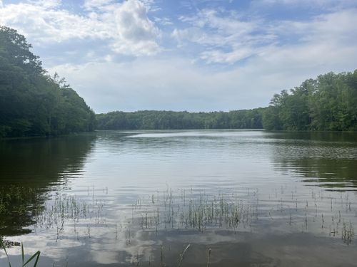 Best Hikes and Trails in Salem Lake Park | AllTrails