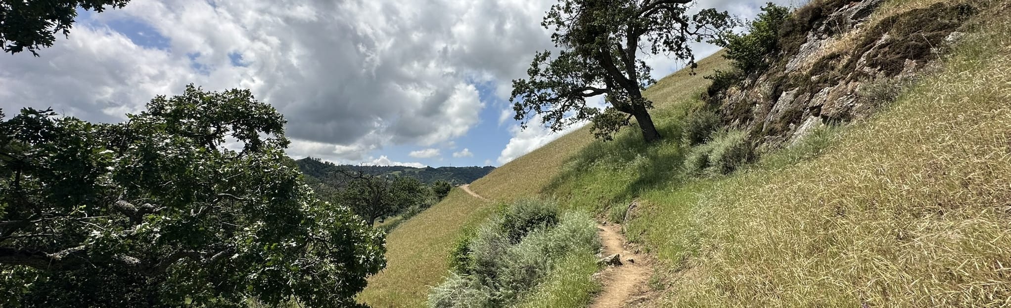 Sunol to Cerro Este Overlook 162 Reviews, Map California AllTrails