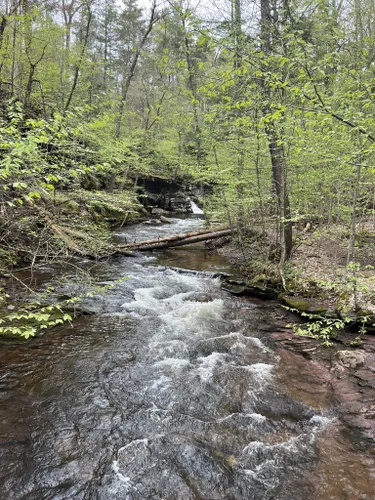 Best 10 Hikes and Trails in Ricketts Glen State Park | AllTrails