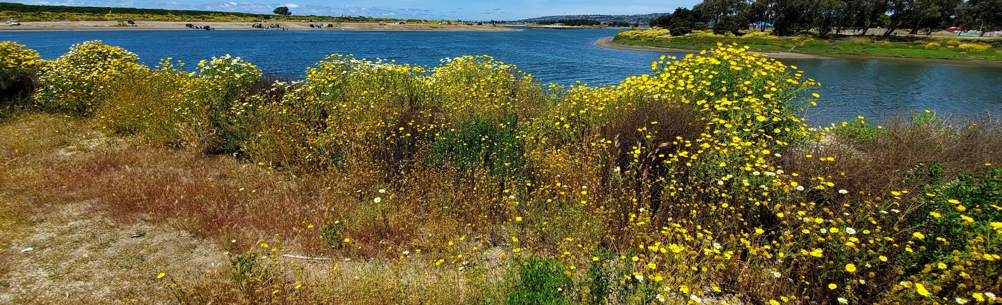 Mission Bay Perimeter and Fiesta Island, California 440 Reviews, Map