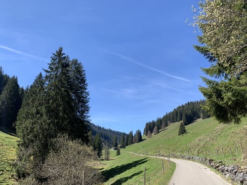 Gipfelwanderung auf den Besler