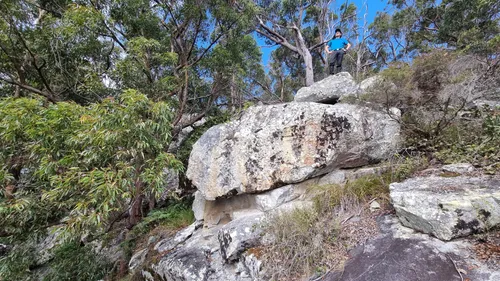 Best Hikes and Trails in Yabbra National Park AllTrails