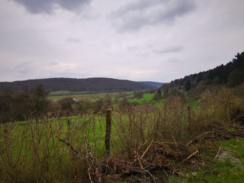 Venusberg (Land.Tour)