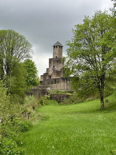 Saar-Hunsrück-Steig Etappe 7: Grimburgerhof - Reinsfeld