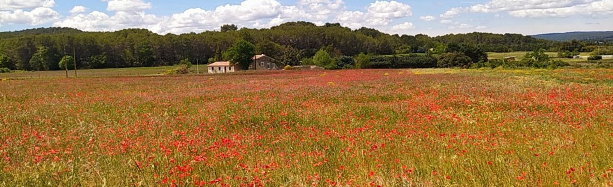 Fontaine des Tuiles: 19 Zdjęcia – Delta Rodanu, Francja | AllTrails