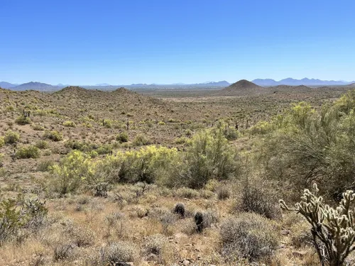 10 Best Hikes and Trails in Phoenix Sonoran Desert Preserve | AllTrails