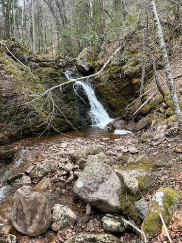 Best Hikes and Trails in New Campbellton | AllTrails