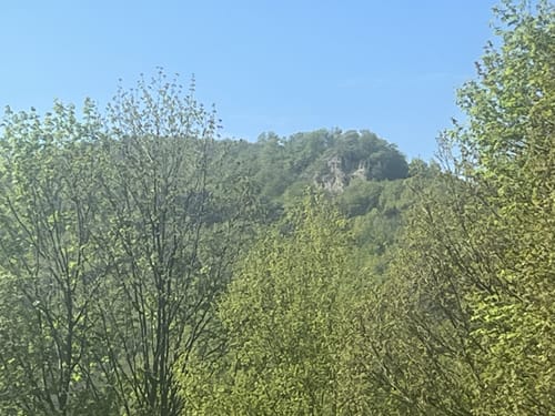 Asbach-Sickenberg P16 (Premiumwanderweg)