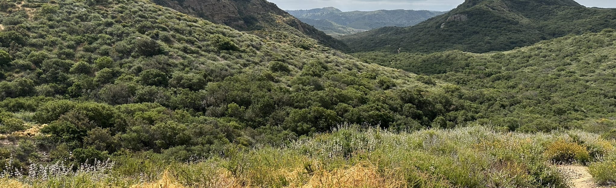 Little Sycamore Canyon, Serrano Ridge, and West Canyon Loop: 352 ...