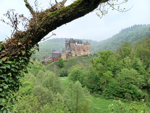 Moselsteig Etappe 20: Treis-Karden - Moselkern