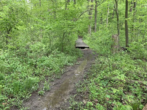 Best Walking Trails in New Palestine | AllTrails