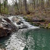 Overall Run and Beecher Ridge Trail, Virginia - 72 Reviews, Map | AllTrails